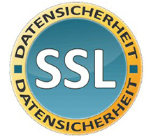 超快SSL （DVSSL）