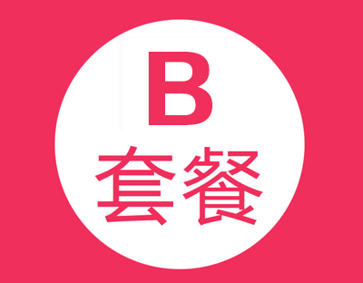 世界名人網公關 B套餐 ( 季度 )